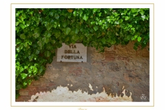 pienza-08