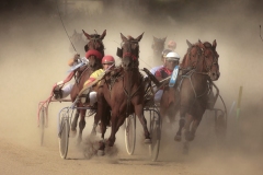 07-PREMIO-SPECIALE-SPORT-BONCRI2