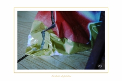 Quisquilie-1