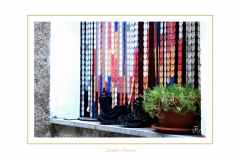 Quisquilie-10
