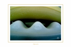 Quisquilie-3