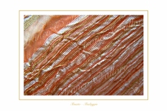 Quisquilie-8