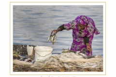 Senegal-10