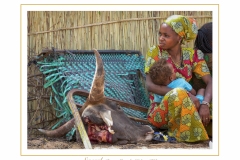 Senegal-13