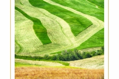 crete-senesi-03