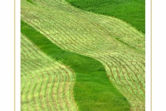 crete-senesi-05