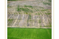 crete-senesi-08