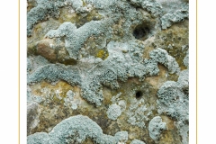 Stones-Art-5