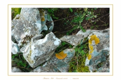 Stones-Art-8
