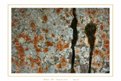 stones-art-4