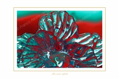 Belfiore-3