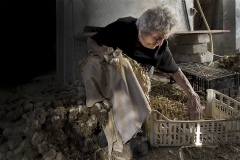 B4-La-treccia-daglio